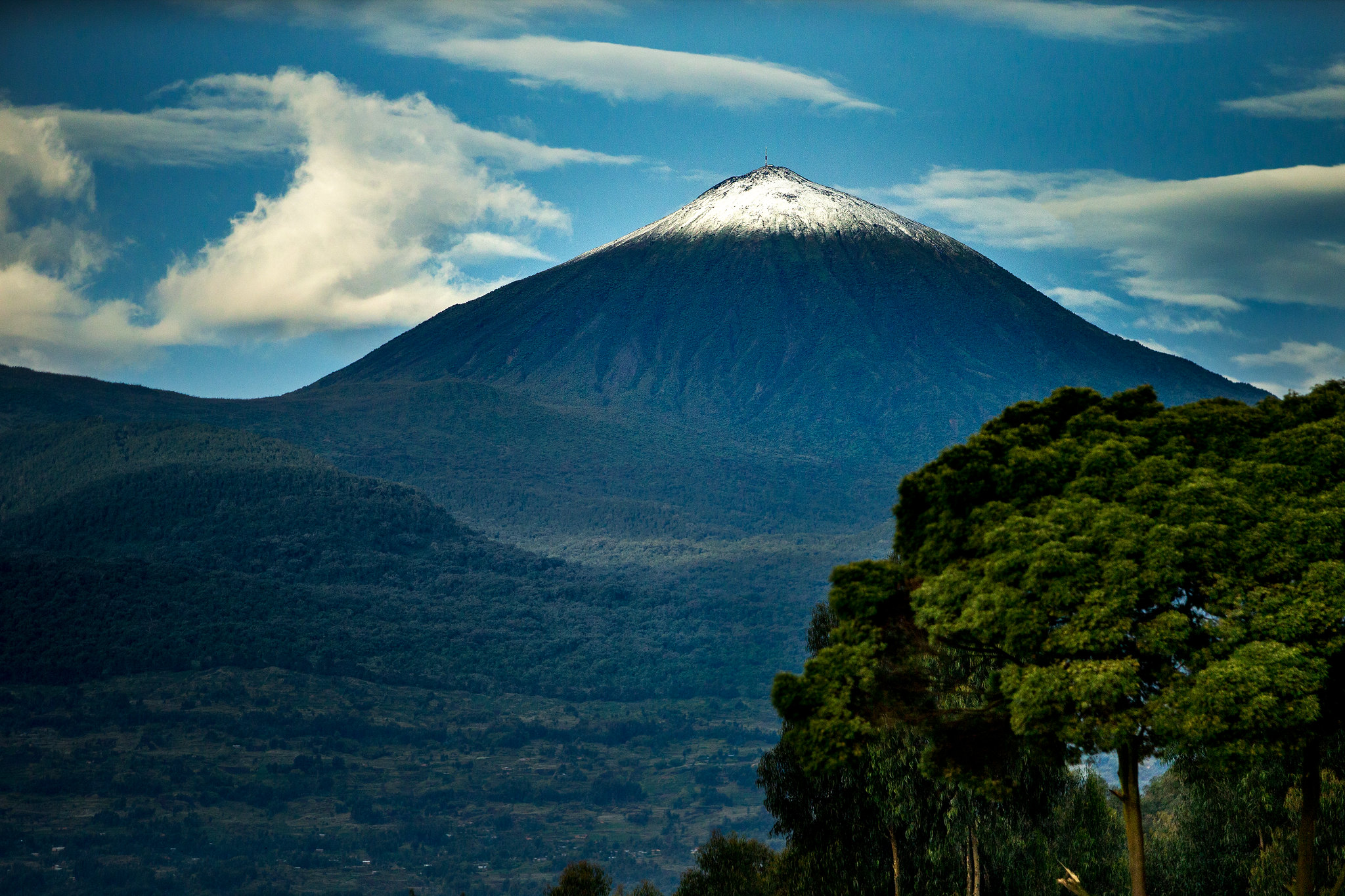 Wildlife in Akagera National Park Rwanda